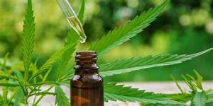 Cannabis Oil - betere bui  - review - radar - kopen 