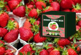 Home Berry Box - bestellen - prijs - kopen - in etos