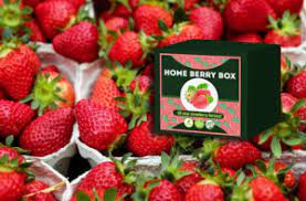 Home Berry Box - bestellen - prijs - kopen - in etos