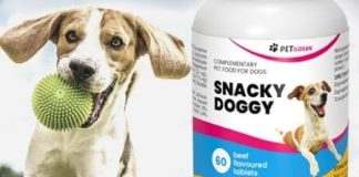 SnackyDoggy - bijwerkingen - wat is - gebruiksaanwijzing - recensies
